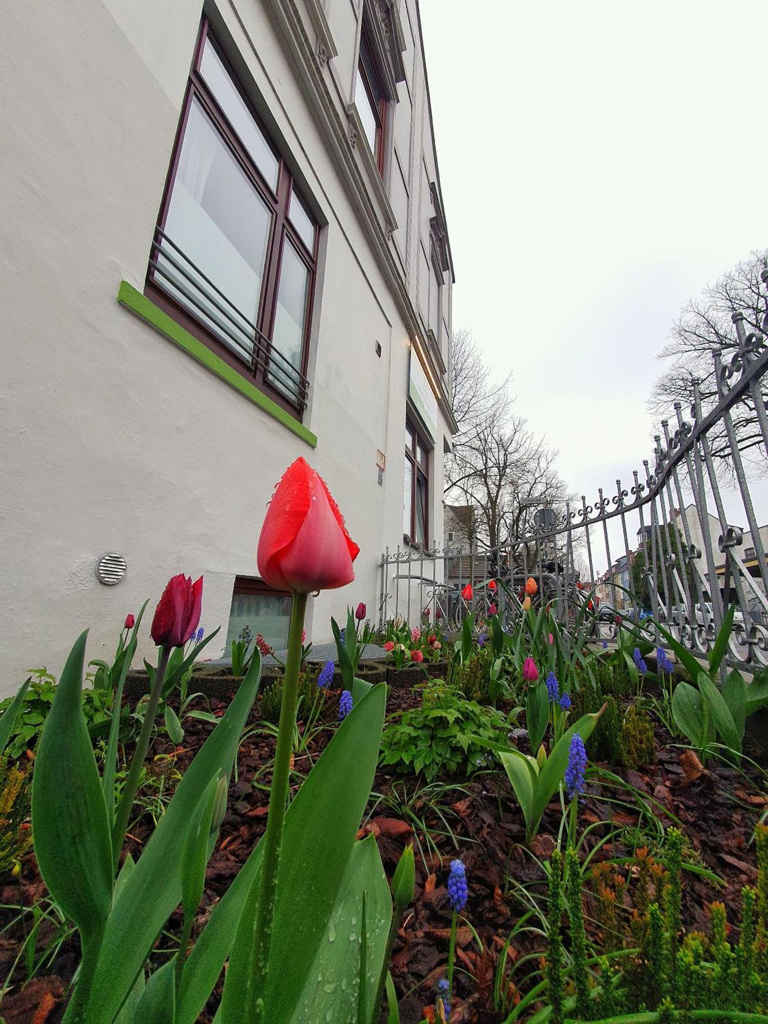 B & L Aparthotel 2*